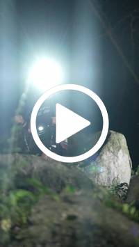 BIB:  <button type="button" onclick="openModal(27926107)" class="btn btn-primary btn-sm float-right" data-toggle="modal" data-target=".modal-high-quality">
                <i class="fa fa-download"></i> Download
                </button>